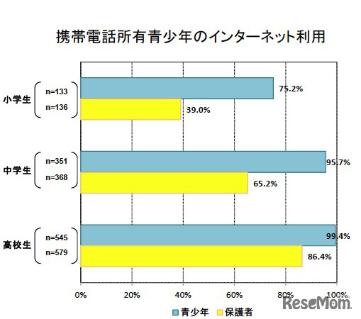 携帯電話所有青少年のインターネット利用