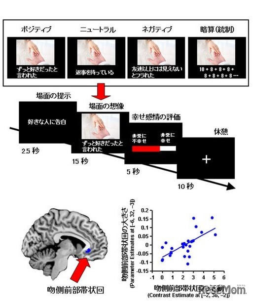 幸せ感情と吻側前部帯状回活動との関連