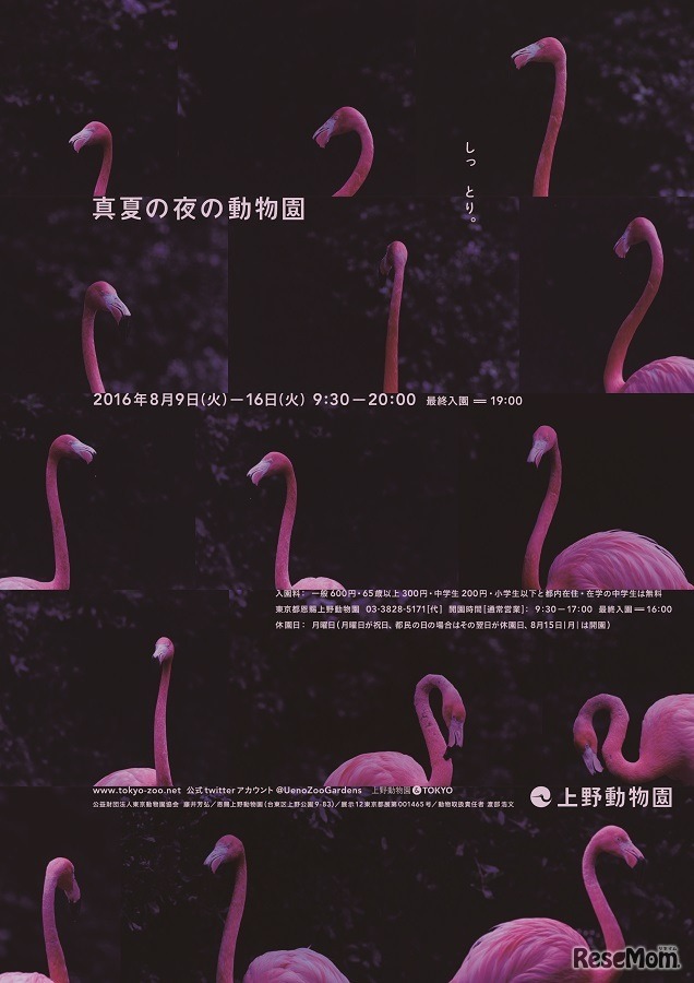 上野動物園「真夏の夜の動物園」　(c) 公益財団法人東京動物園協会