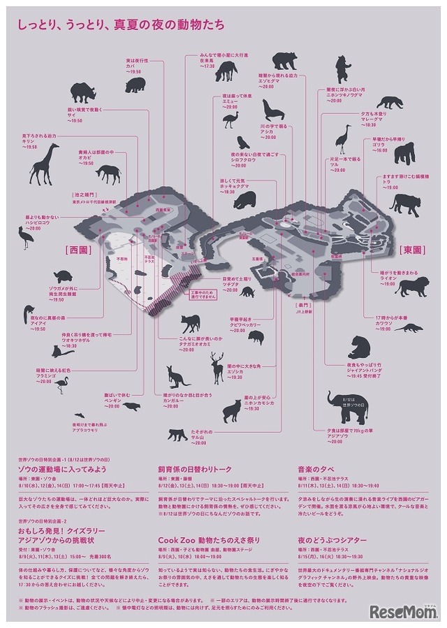 上野動物園「真夏の夜の動物園」　(c) 公益財団法人東京動物園協会