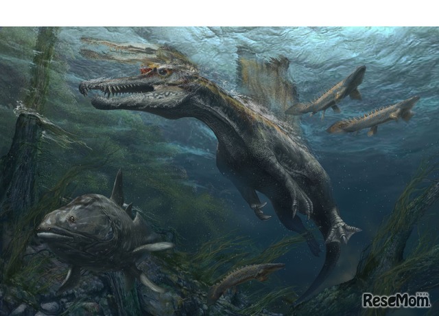 スピノサウルス復元画　(c) Davide Bonadonna