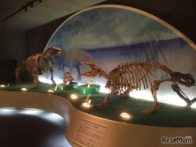 瑞浪市化石博物館