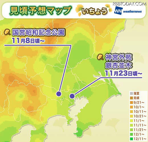 紅葉見頃予想 関東地方 いちょう