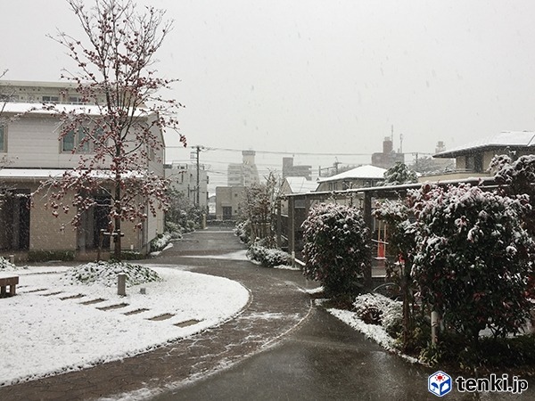 2016年のお天気10大ニュース…1位「熊本を中心に相次ぐ災害」