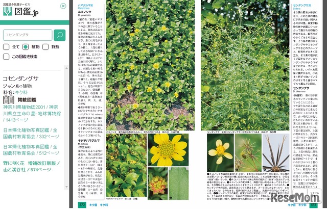 生物専門図鑑の読み放題サイト 図鑑 Jp 植物 野鳥図鑑を公開 6枚目の写真 画像 リセマム