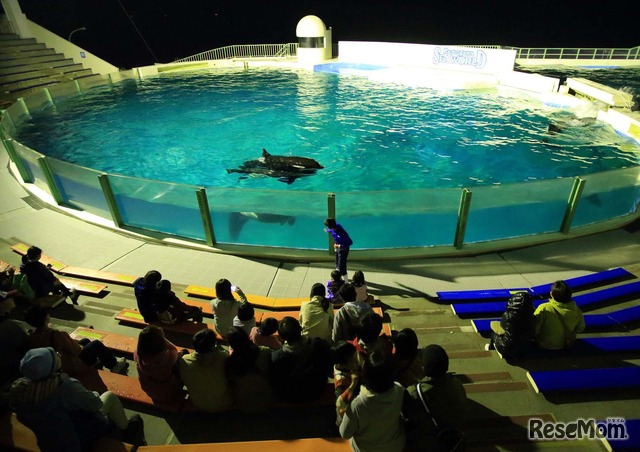 ナイトアドベンチャー（夜の水族館探検）