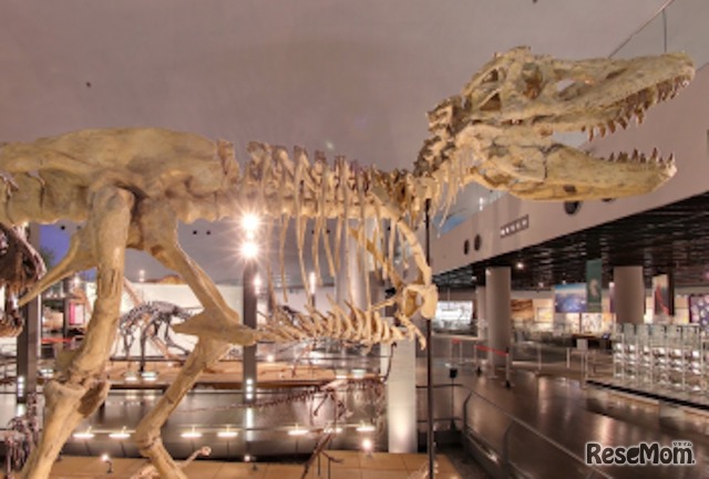 福井県立恐竜博物館の館内