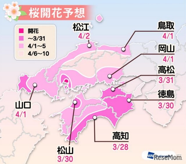 開花予想（中国四国）