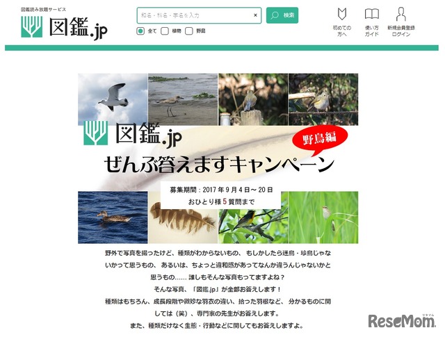 図鑑.jp「ぜんぶ答えますキャンペーン野鳥編」