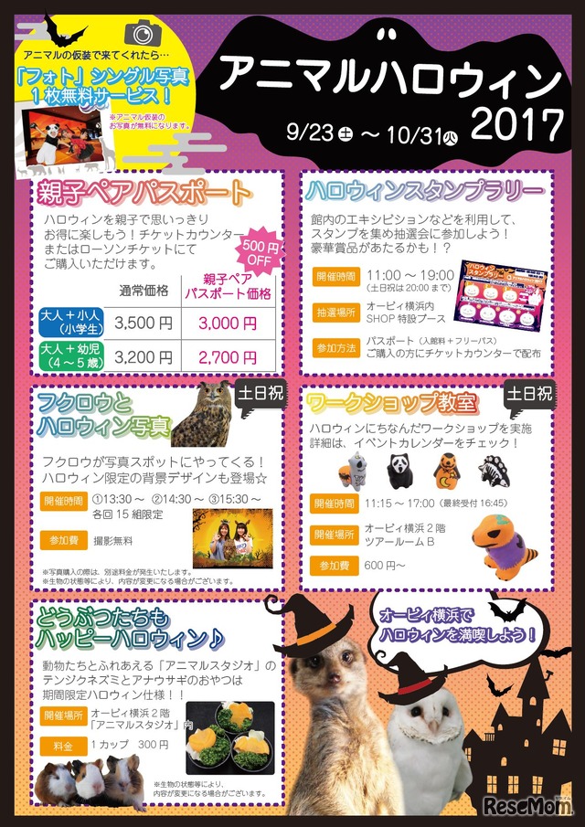 オービィ横浜「アニマルハロウィン 2017」