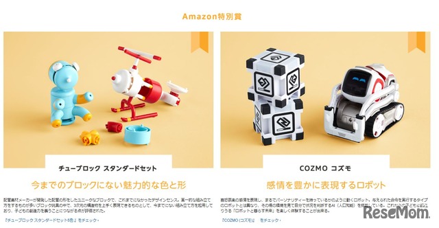 Amazon特別賞