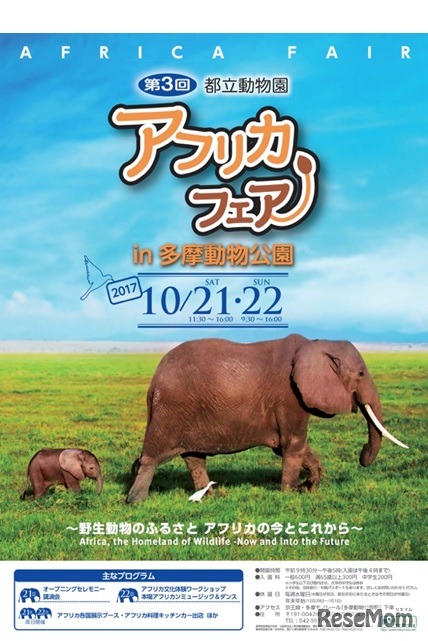 アフリカフェアPRポスター　(c) 公益財団法人東京動物園協会