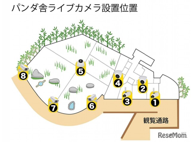 「UenoPandaLive.jp」パンダ舎ライブカメラ設置位置