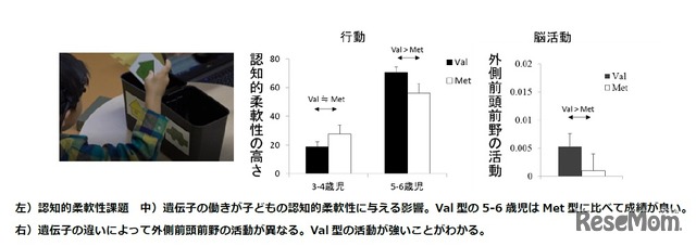 調査方法と調査結果