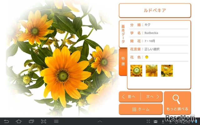 ドコモ限定androidアプリ みんなの花図鑑 第3弾無料公開 3枚目の写真 画像 リセマム