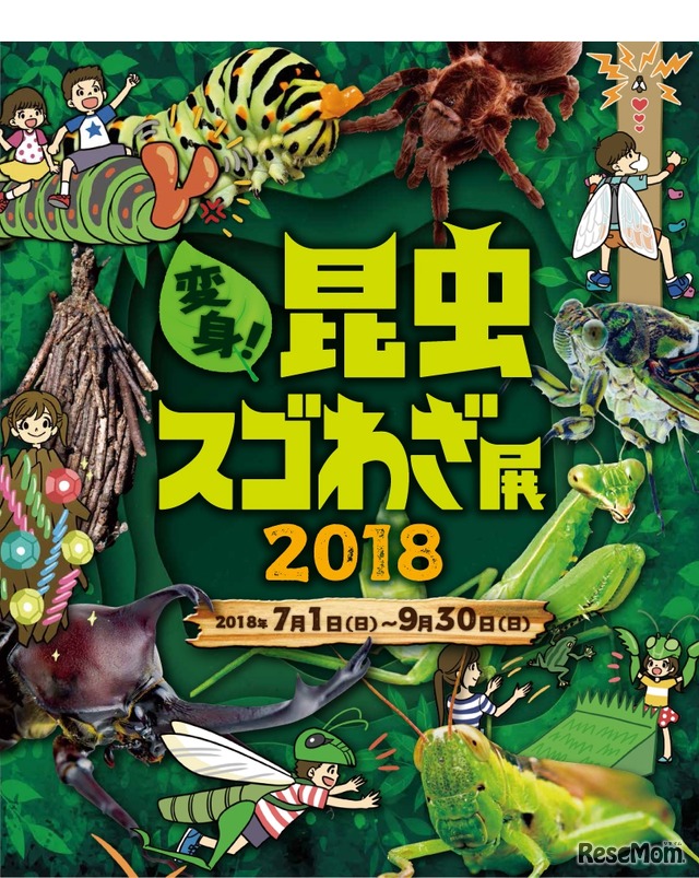 変身！昆虫スゴわざ展2018