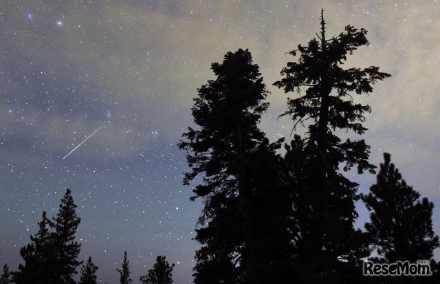 The Annual Perseid Meteor Shower(Photo by Ethan Miller/Getty Images)　画像はイメージ