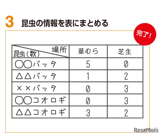 実験2 手順3