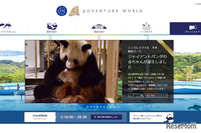 わずか75g ジャイアントパンダの赤ちゃん誕生 和歌山 4枚目の写真 画像 リセマム