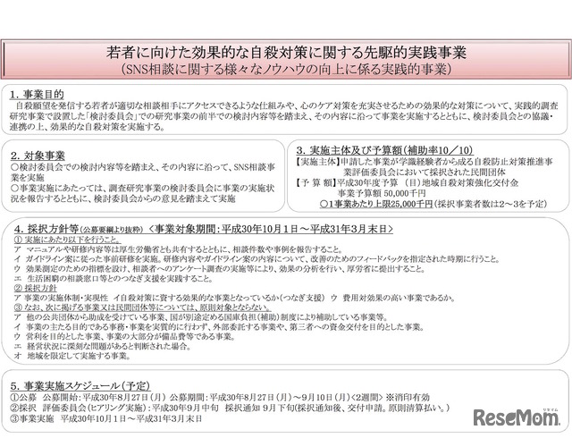 厚生労働省「若者に向けた効果的な自殺対策に関する先駆的実践事業（SNS相談に関するさまざまなノウハウの向上に係る実践的事業）の概要