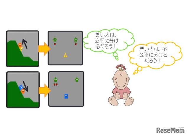 京都大学　研究成果　実験で赤ちゃんに見せた場面