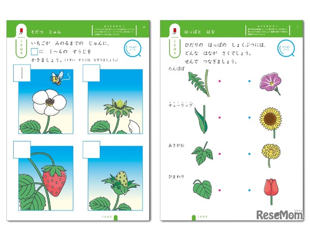 「くさばな」ページ イメージ