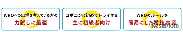 アフレルスプリングカップ2019の特徴