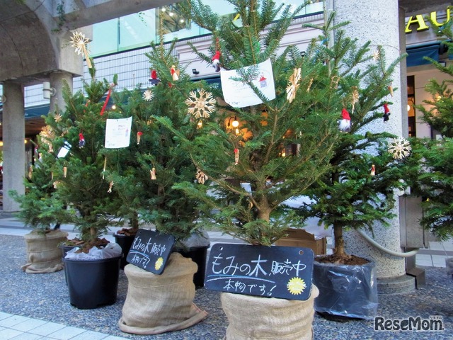 大人から子どもまで楽しいws マーケット アークヒルズxmasイベント 9枚目の写真 画像 リセマム