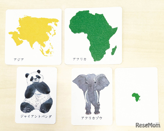 動物と大陸のカード