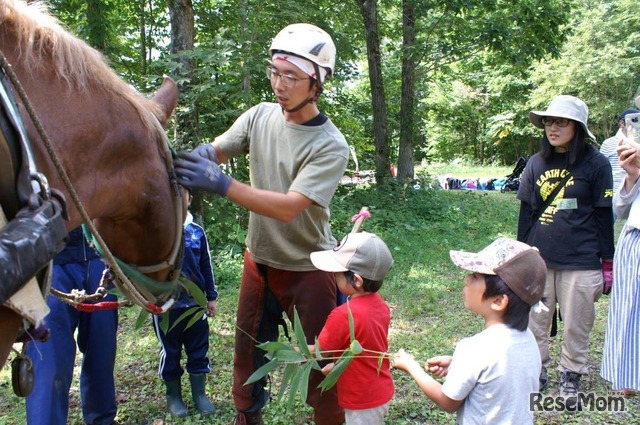 苫小牧「北の大地で馬と暮らすキャンプ」