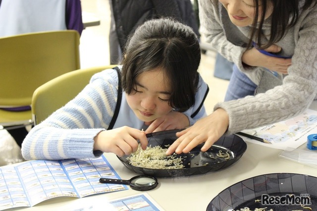 シーパラこども海育塾（2018年度のようす）