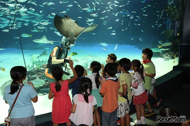 夜の探検隊～サンシャイン水族館に泊まろう！～