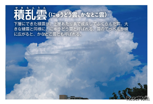 自由研究 雲の観察マスターへの道 観察方法の基本とウラ技 リセマム