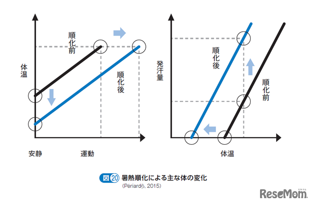 暑熱順化によるおもな体の変化