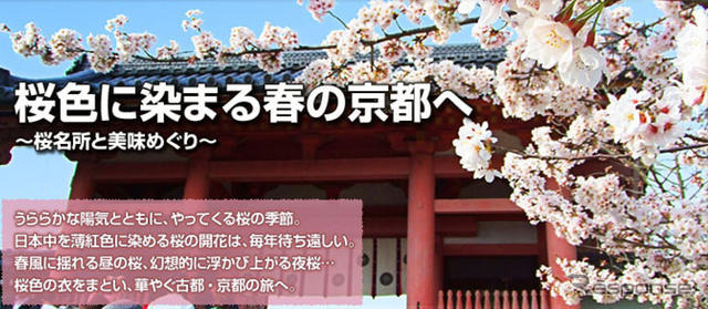 MapFan Web 観光楽地図、桜色に染まる春の京都へ～桜名所と美味めぐり～