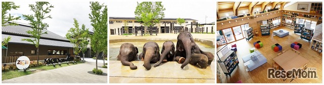 京都市動物園（園内イメージ）