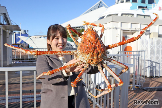 タカアシガニを食べることができる特別イベントを開催