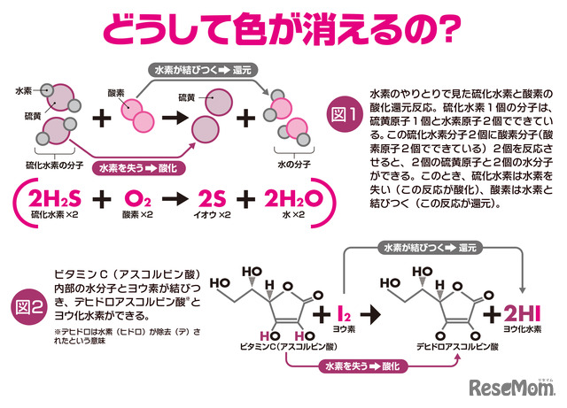 「子供の科学 2020年6月号」