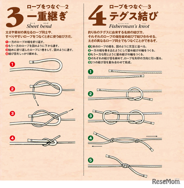 自由研究 災害 非常時 ものづくりに役立つ ロープの結び方の基本を学ぼう リセマム