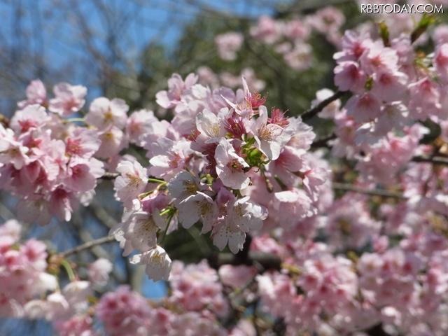 上野公園