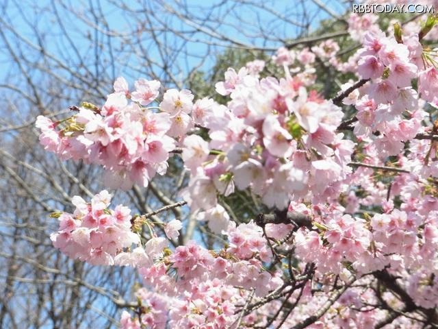 上野公園