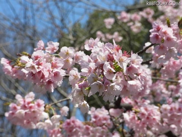 上野公園