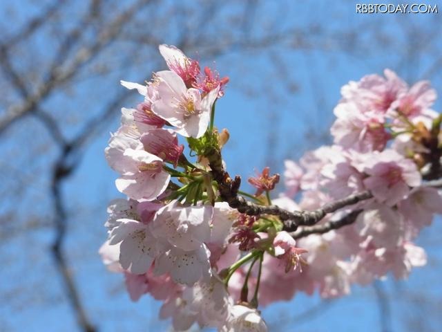 上野公園