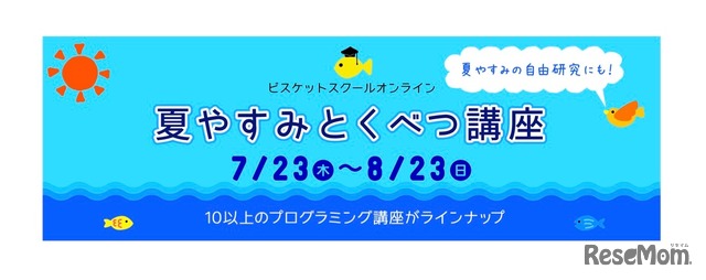 ビスケットスクール「夏やすみとくべつ講座」