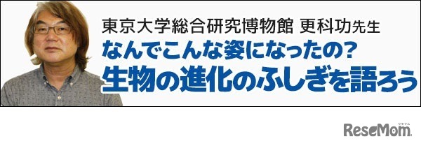 Kokaオンライン講演会「なんでこんな姿になったの？生物の進化のふしぎを語ろう」