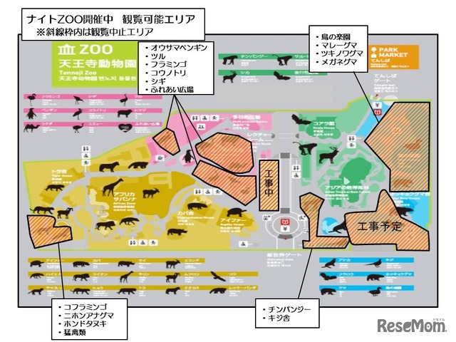 天王寺動物園「秋のナイトZOO」観覧可能エリア