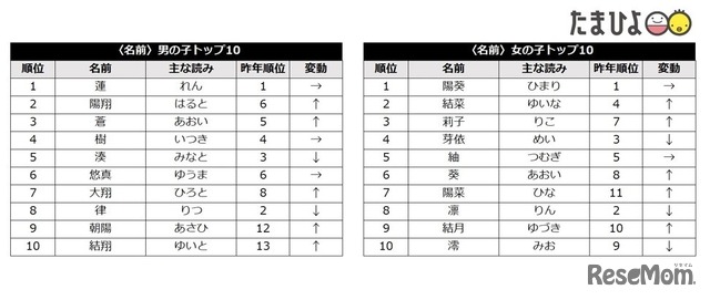 名前ランキング