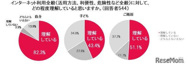 インターネット利用全般（活用方法、利便性、危険性など）に対して、どの程度理解していると思うか