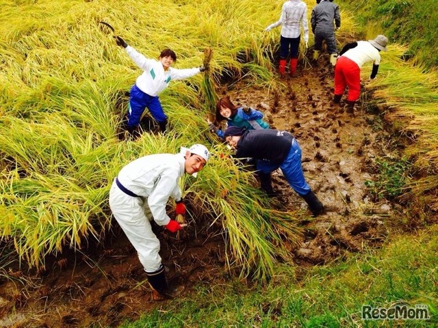 「聞き書き」後に、里山里海の保全活動や地域活性化に取り組む卒業生たち