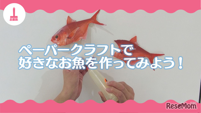 【静岡】ペーパークラフトで好きなお魚をつくってみよう！